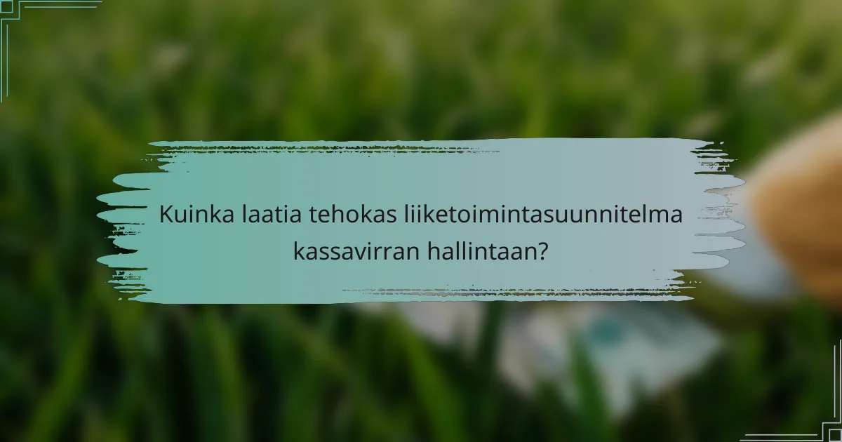 Kuinka laatia tehokas liiketoimintasuunnitelma kassavirran hallintaan?